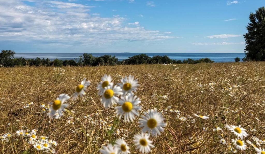 Bornholm Apartments Svaneke Εξωτερικό φωτογραφία