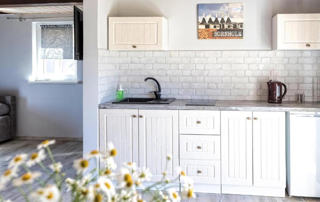 Bornholm Apartments Svaneke Εξωτερικό φωτογραφία